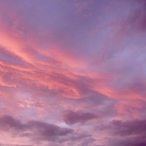 Meet your Posher, Lilly